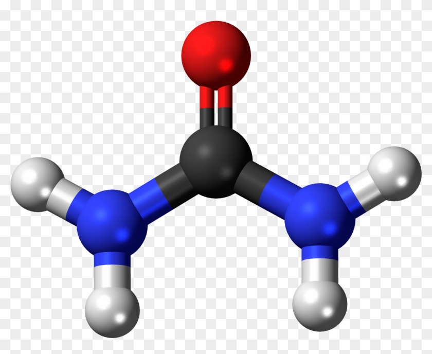 Chemistry Atom Cliparts - Urea Molecule - Png Download #3243132