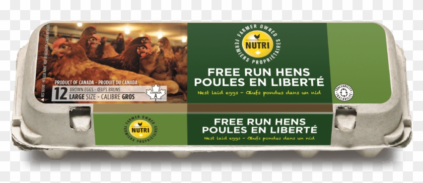 Free Run Hens Large Brown Eggs , Png Download - Ruby Tuesday Coupons 2012 Clipart