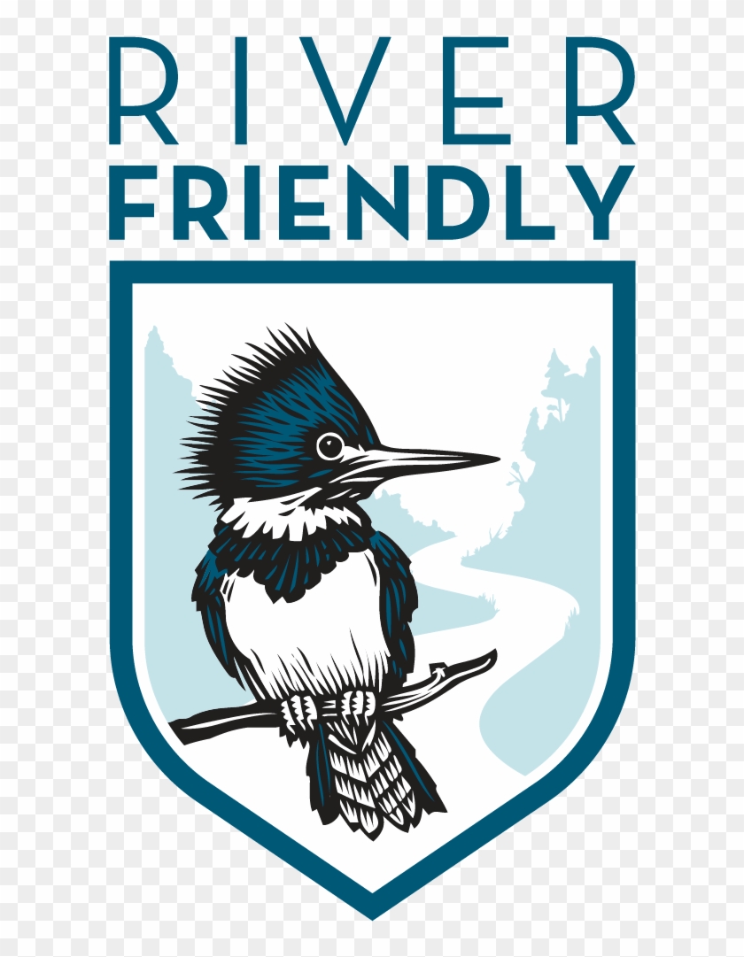 By Being Aware Of My Actions, Making Thoughtful Decisions, - Belted Kingfisher Clipart #3245165