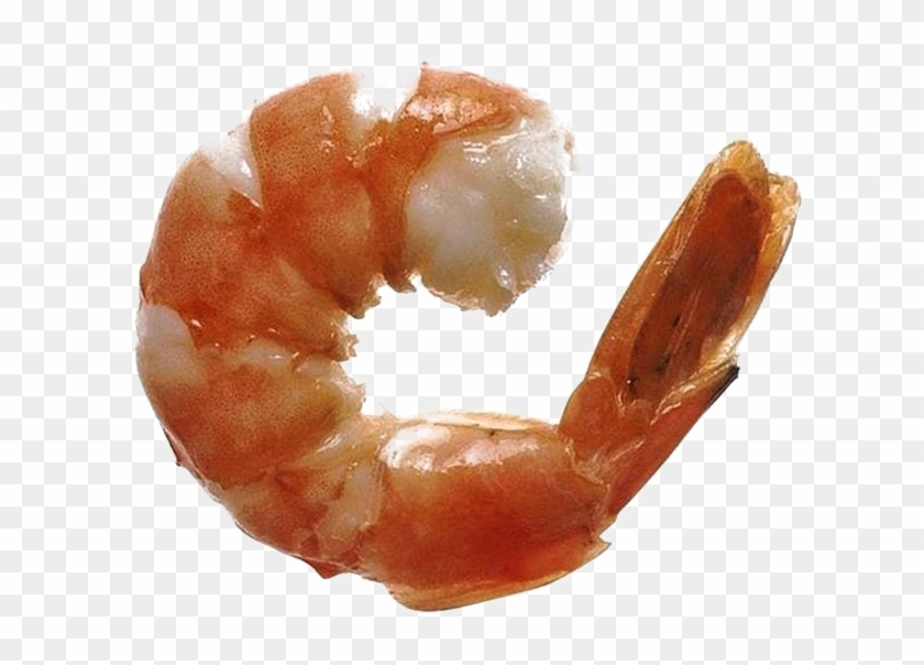 Ocean Shrimp Transparent Free Png - Shrimp Clipart #3246213