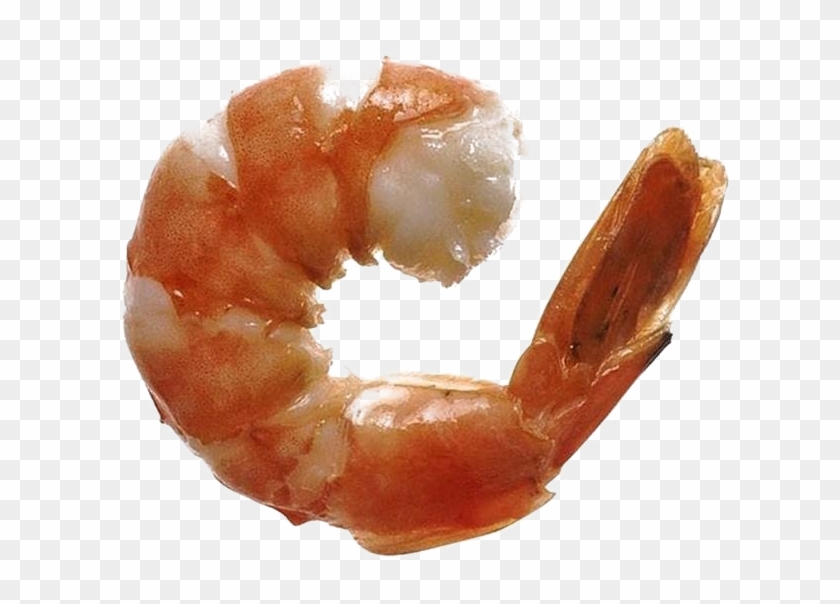 Ocean Shrimp Transparent Free Png - Shrimp Clipart