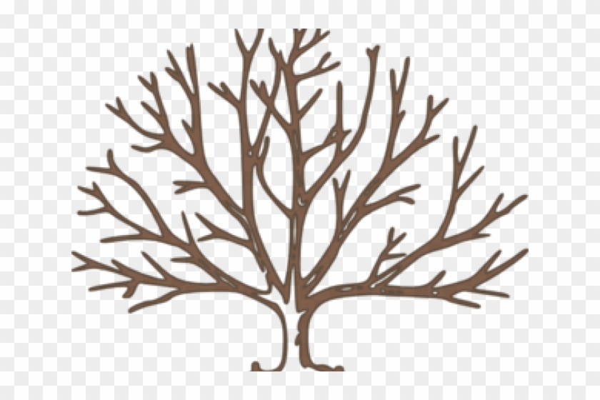 Dead Tree Clipart Branchless - Draw A Winter Tree - Png Download