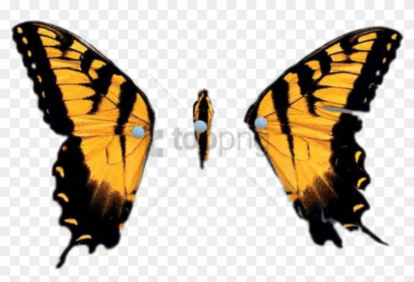 Free Png Brand New Eyes Png Image With Transparent - Paramore The Only Exception Album Clipart