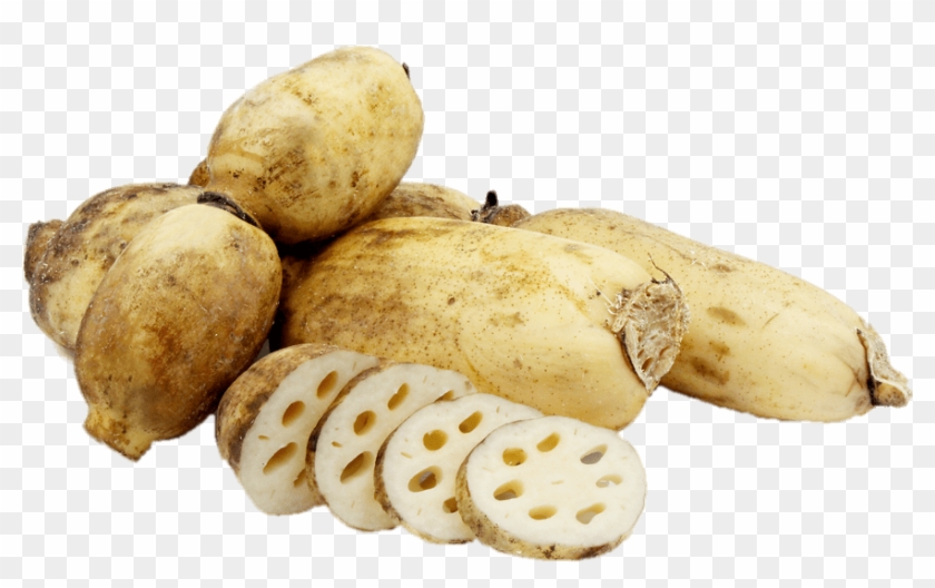 Download Download Lotus Root In Spanish Clipart Png Download PikPng