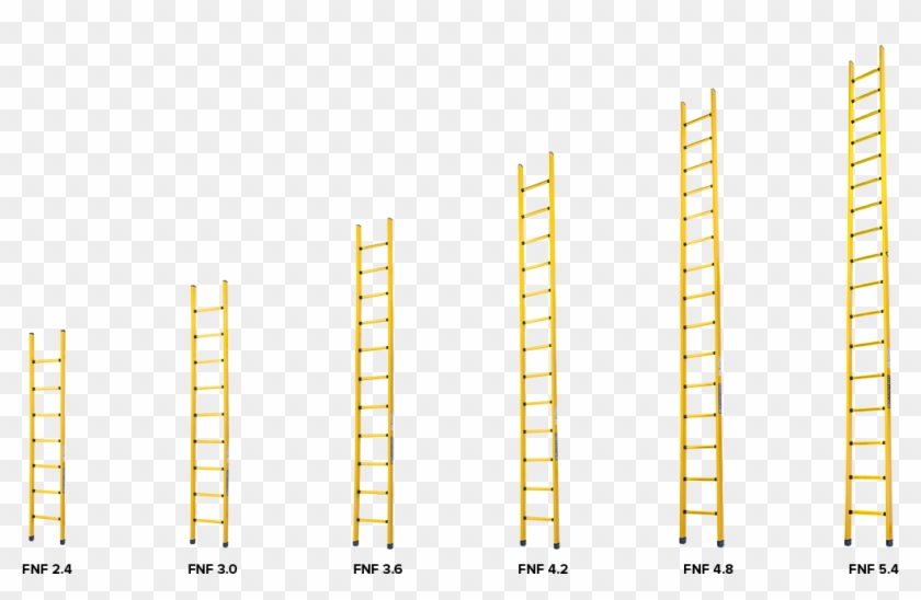 Corrosionmaster Single Models - Single Ladder Clipart