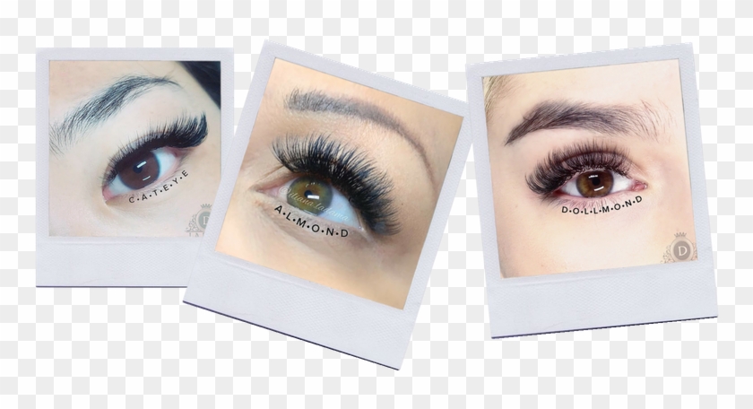 Shop Skincare - Eyelash Extensions Clipart