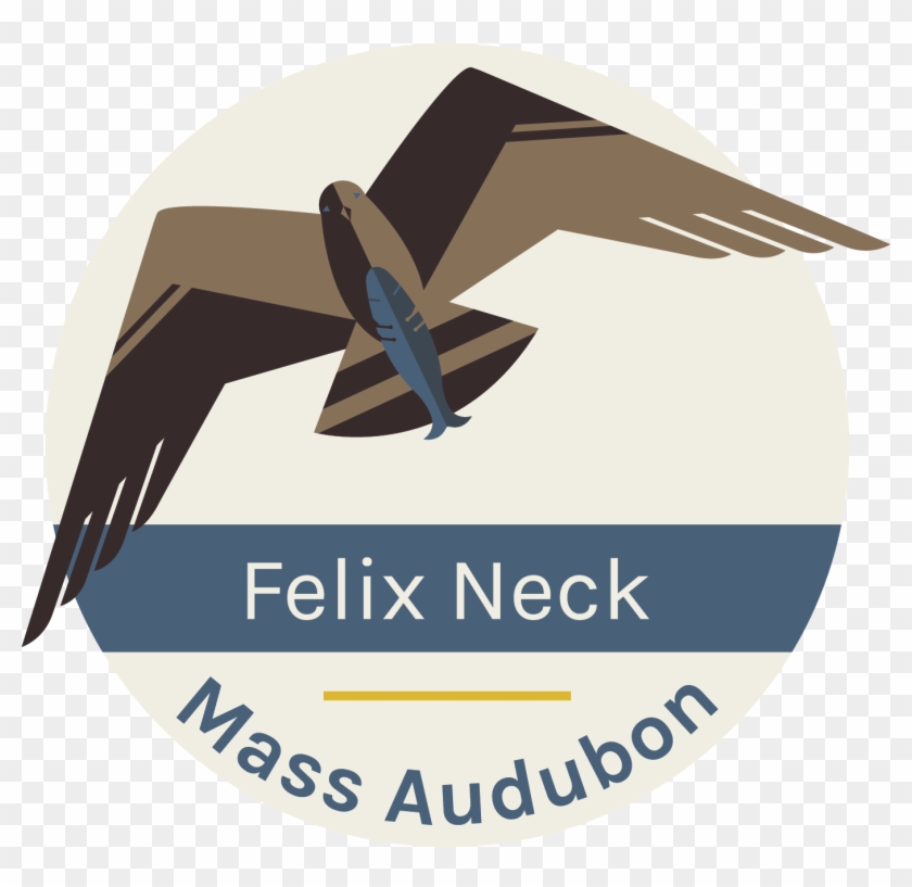 Felix Neck Wildlife Sanctuary Fern & Feather Day Camp - Graphic Design Clipart #3252806