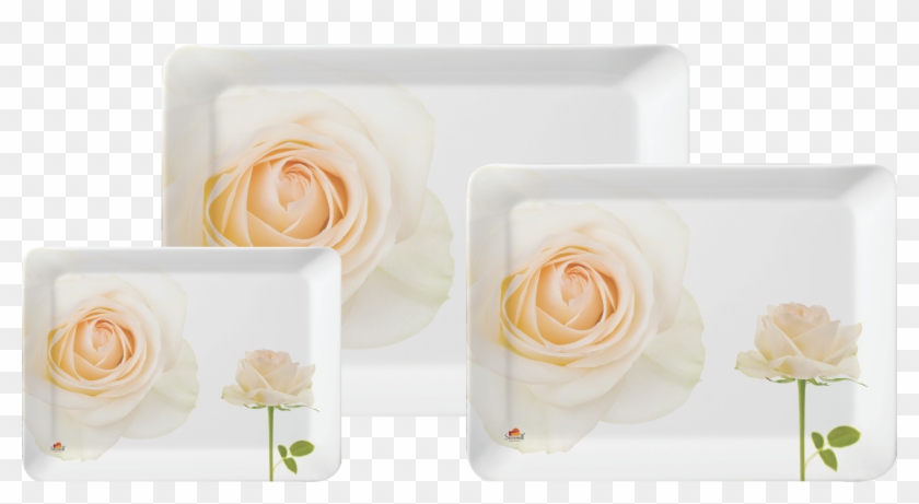 3 Pc Stylo Tray Set - Garden Roses Clipart