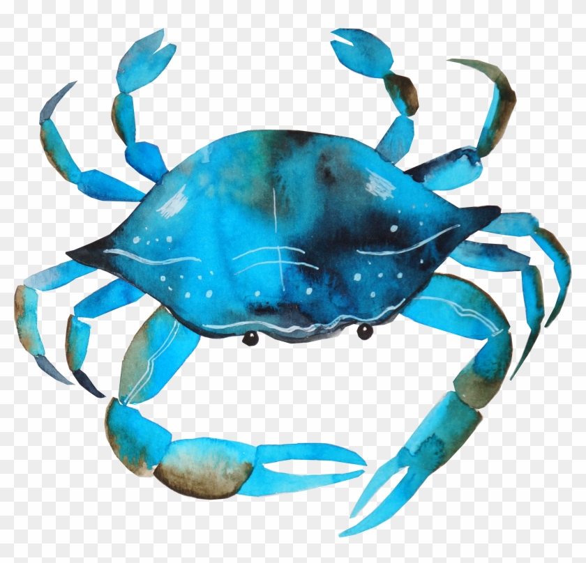 Blue Crab Png - Blue Crab Png Watercolor Clipart #3253119