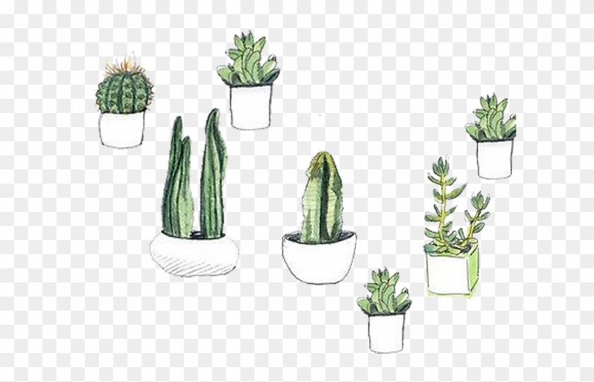 Cactaceae Watercolor Painting - Succulents Iphone Wallpaper Hd Clipart