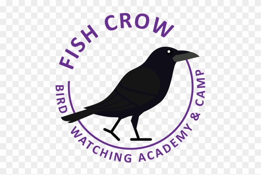 Fish Crow - American Crow Clipart