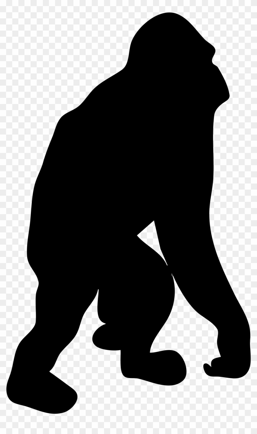 Chimpanzee Primate Silhouette Bornean - Orangutan Silhouette Clipart #3257661