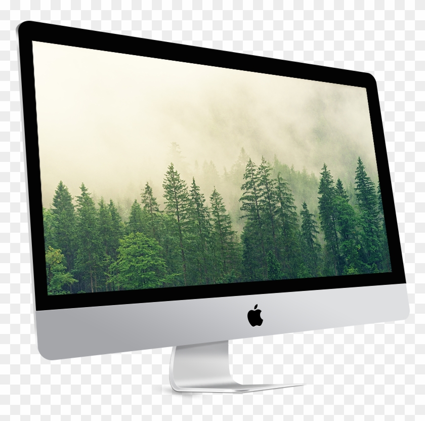 27" Imac 4 Ghz I7 - Forest Picture Hd Clipart #3258803