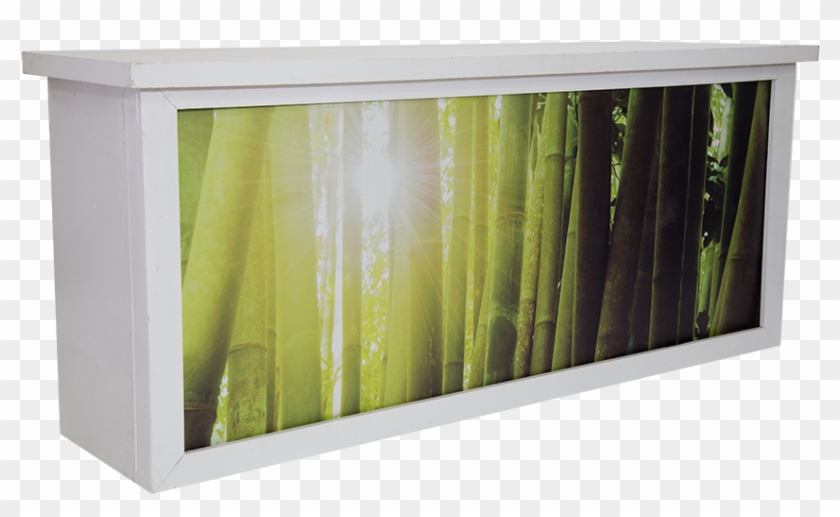 Shadow Bamboo Graphic Bar P , Png Download - Bamboo Header Clipart #3259491
