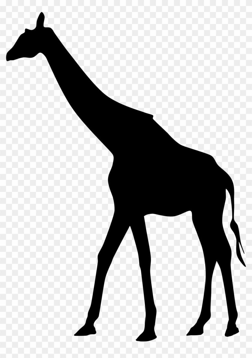 Vector Transparent Stock Giraffe Black And White Clipart - Giraffe Silhouette No Background - Png Download #3261681