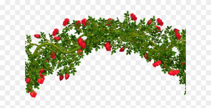 Shrub Clipart Blackberry Bush - Rose Bush Clipart Png Transparent Png