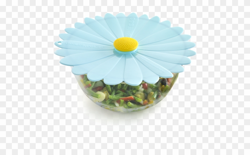 Charles Viancin Lids Clipart #3263309