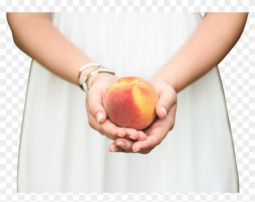 Peach In A Girl's Hands - Peach In Hands Clipart