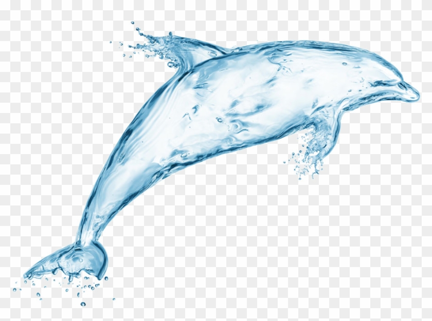 Jumping Dolphin - Common Bottlenose Dolphin Clipart
