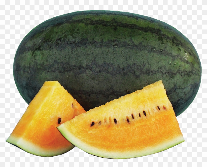 393 Gold Dragon - Papaya Clipart #3266088