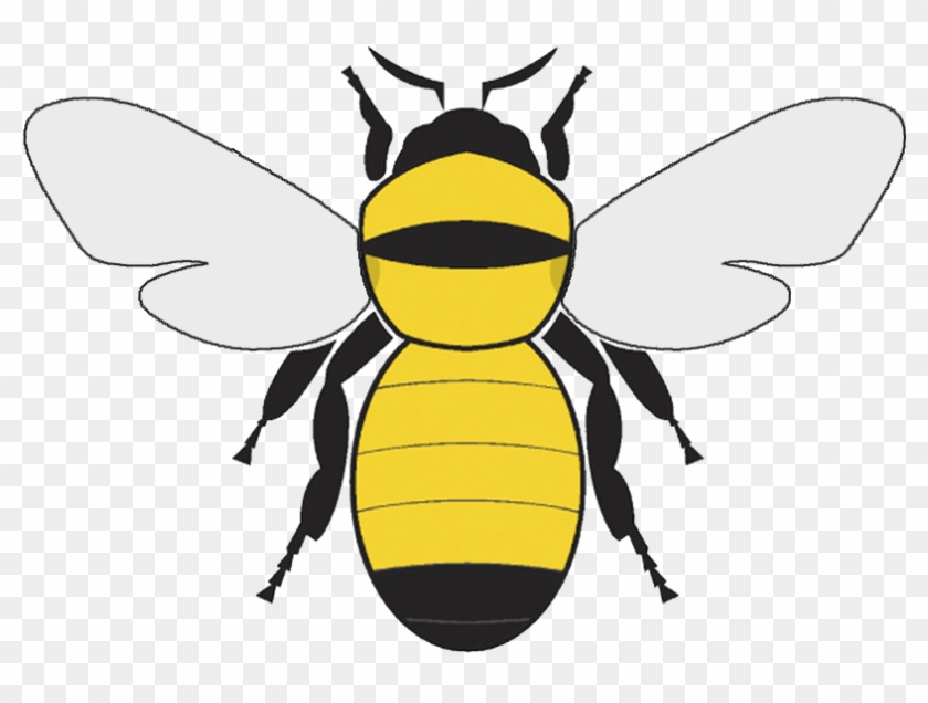 Hive - Softext - Macedonia National Spelling Bee Clipart #3266249