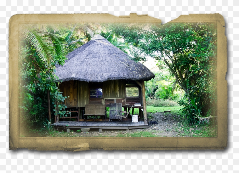 Yellowwood State Forest , Png Download - Thatching Clipart