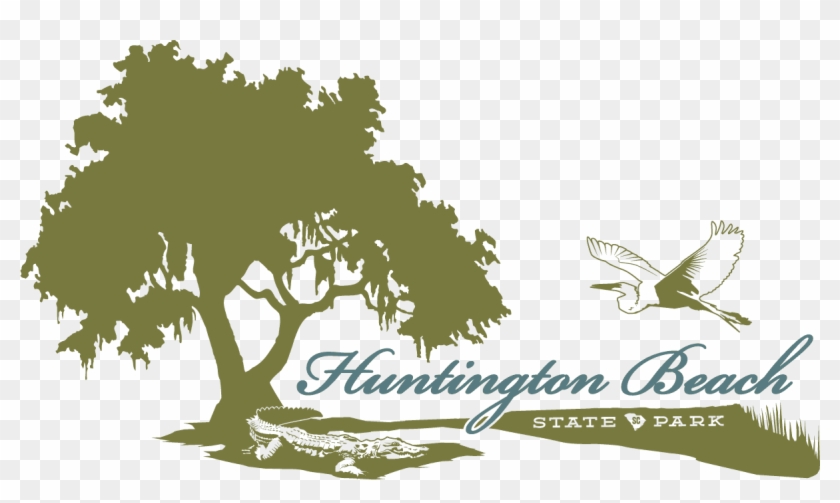 Park Logo - Transparent Background Tree Silhouette Clipart - Png Download #3268976