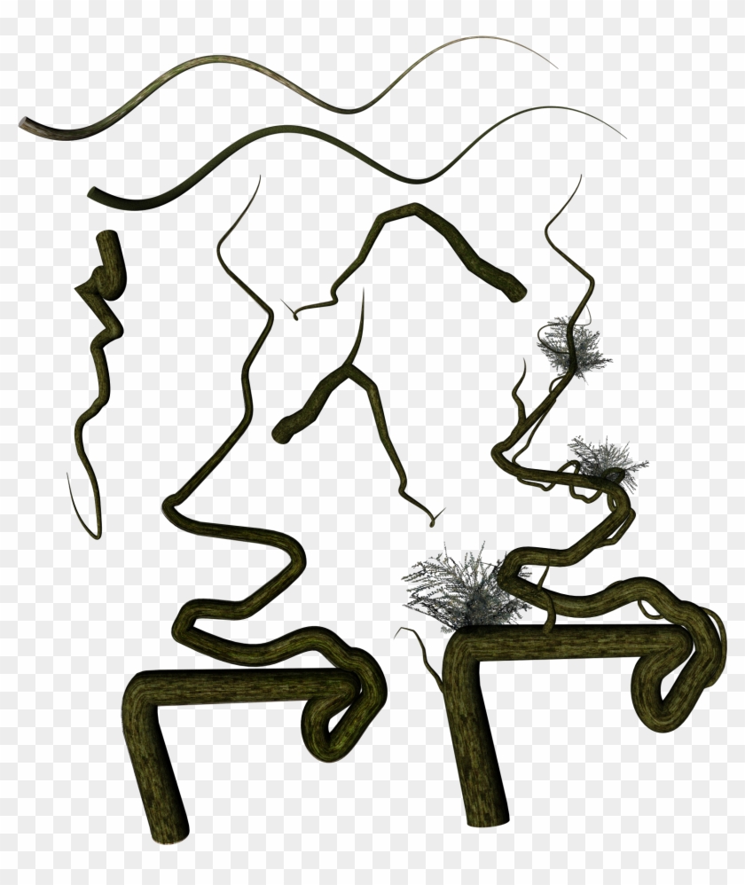 Vines Png - Illustration Clipart #3269988