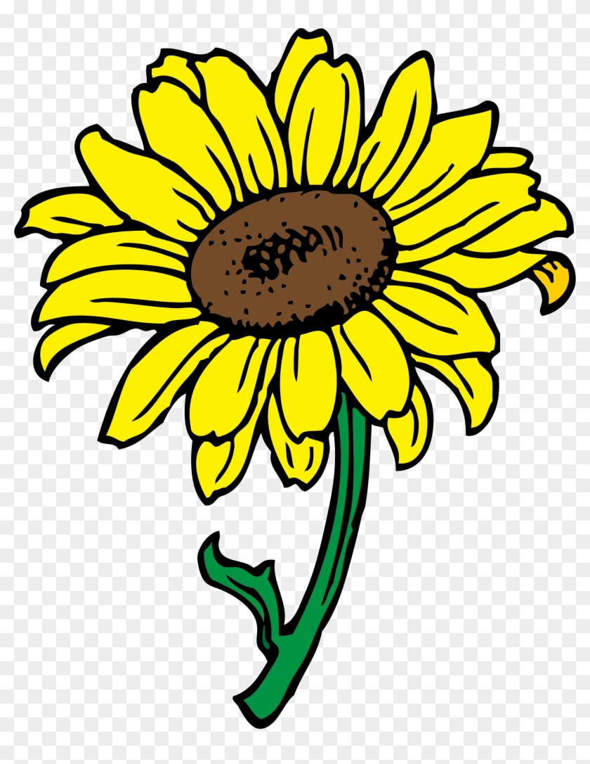 15 Sunflowers Png Animated For Free On Mbtskoudsalg - Clip Art Of Sunflower Transparent Png #3271019
