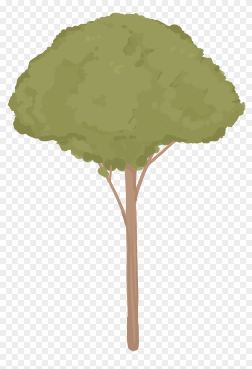 Hand Drawn Plants Trees Small Png And Psd - Oak Clipart #3271460
