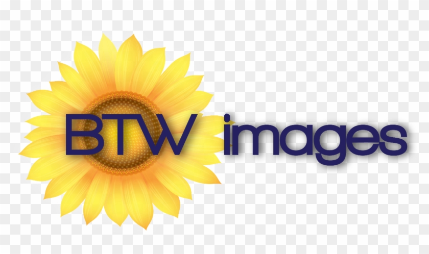 Btw Images, Llc - Sunflower Clipart #3272758