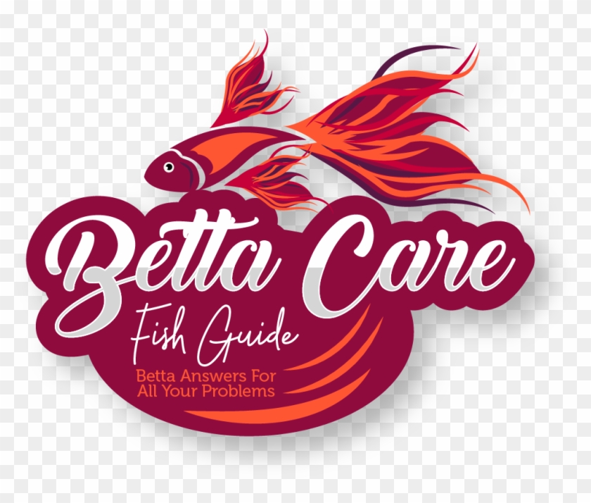 Betta Care Fish Guide - Graphic Design Clipart