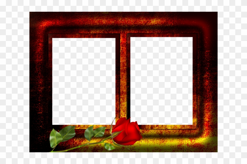 Marco Png - Garden Roses Clipart #3273469