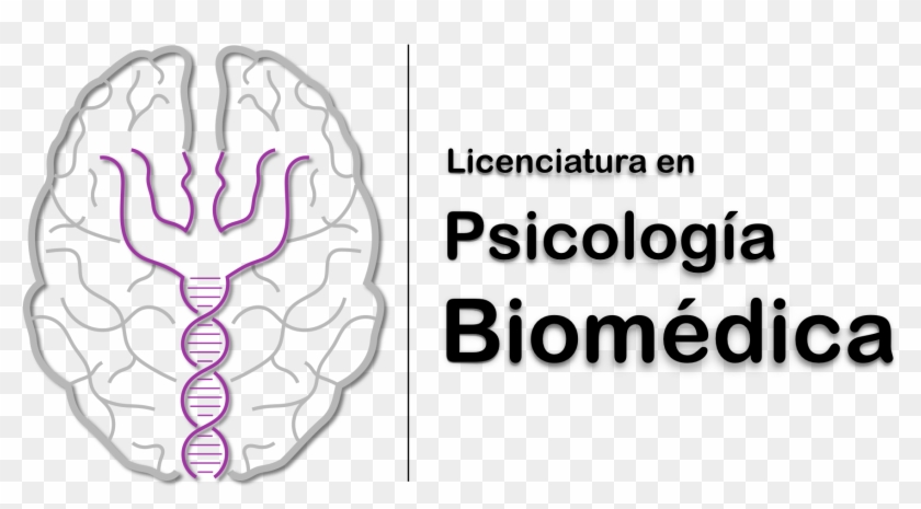 Es Una Licenciatura Novedosa E Innovadora Que Surge - Blue Curacao Pantone Clipart