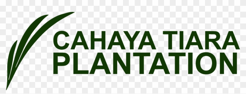 Pt Cahaya Tiara Plantation - Parallel Clipart #3274385