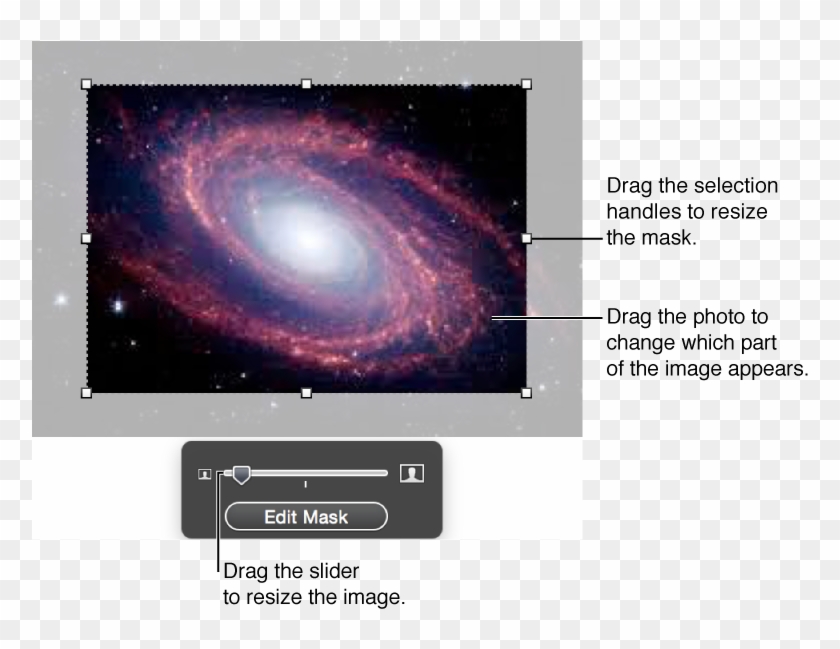 A Photo Being Masked, With Selection Handles On The - Photograph Clipart #3277262