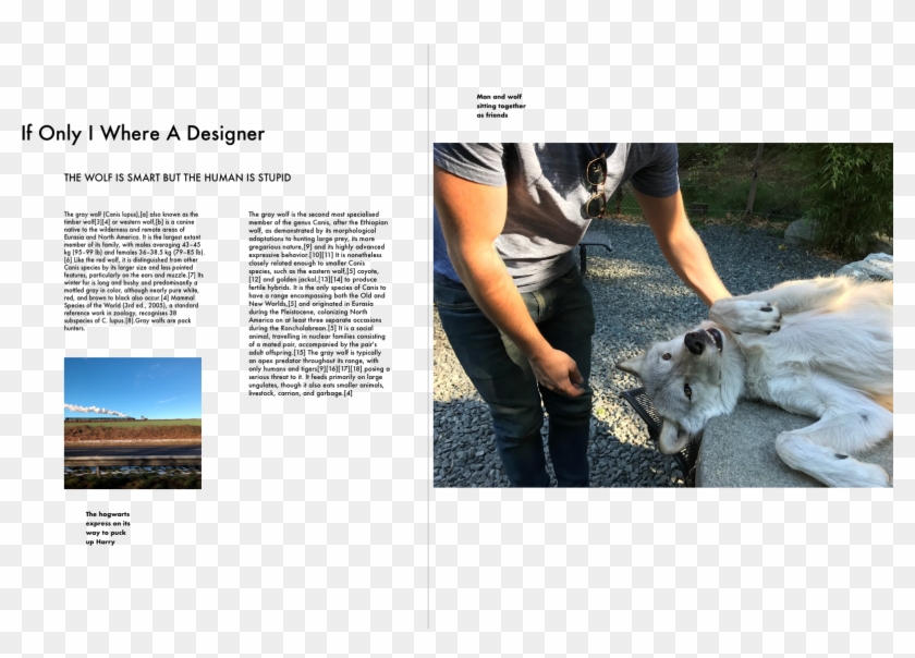 This Course Helped Me A Ton With Laying Out Documents - Koala Clipart #3284316