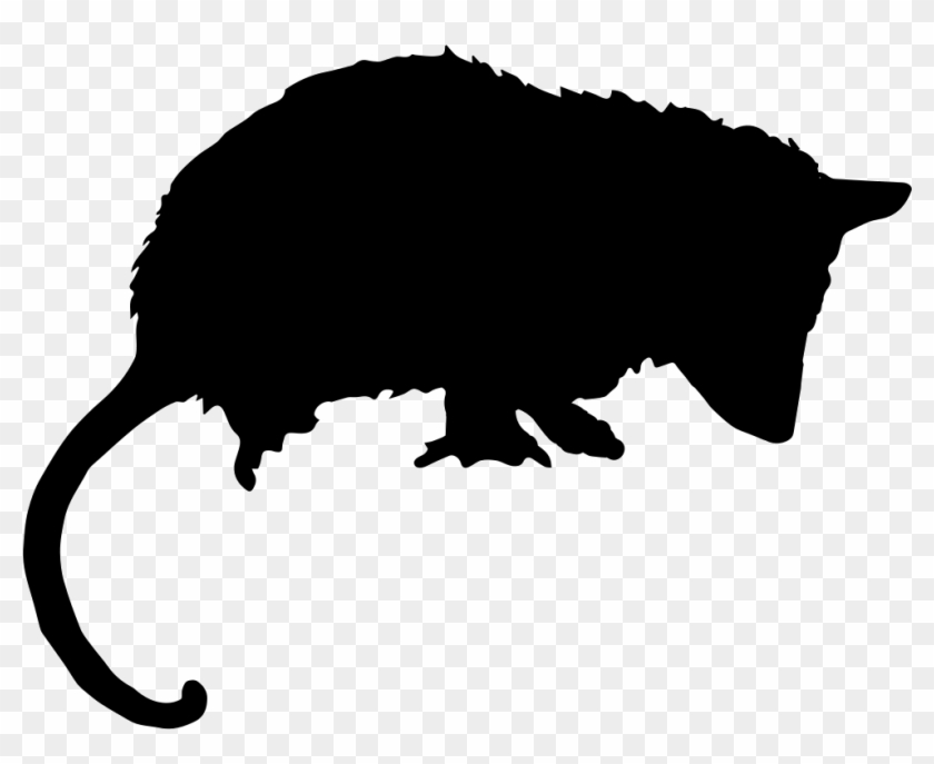 Png File Svg - Opossum Clipart Black And White Transparent Png