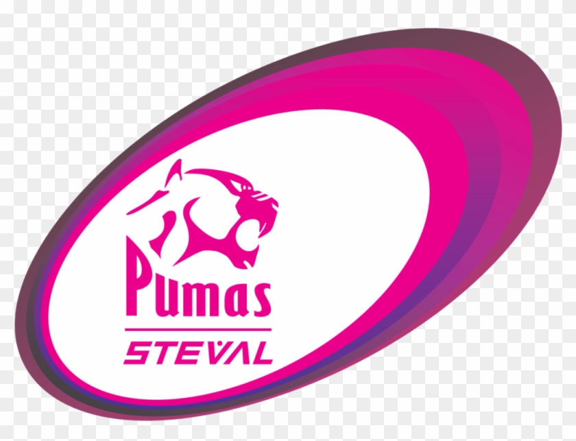 Cropped-2016 Pumas Designs With Steval1 - Argentina National Rugby Union Team Clipart #3287133