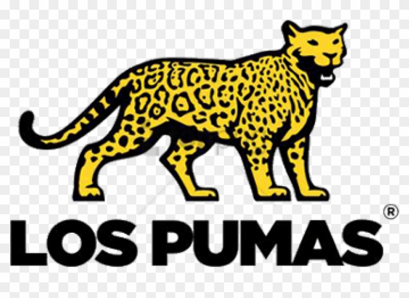Free Png Download Los Pumas Rugby Logo Png Images Background - Argentina Rugby Logo Clipart