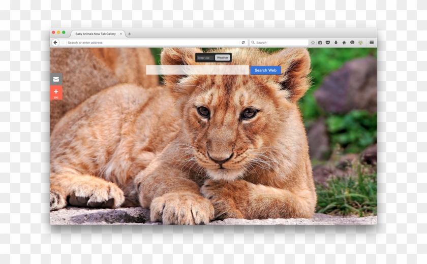 Baby Animals Gallery New Tabby Brand Thunder, Llc - Baby Animals Lion Clipart #3289564