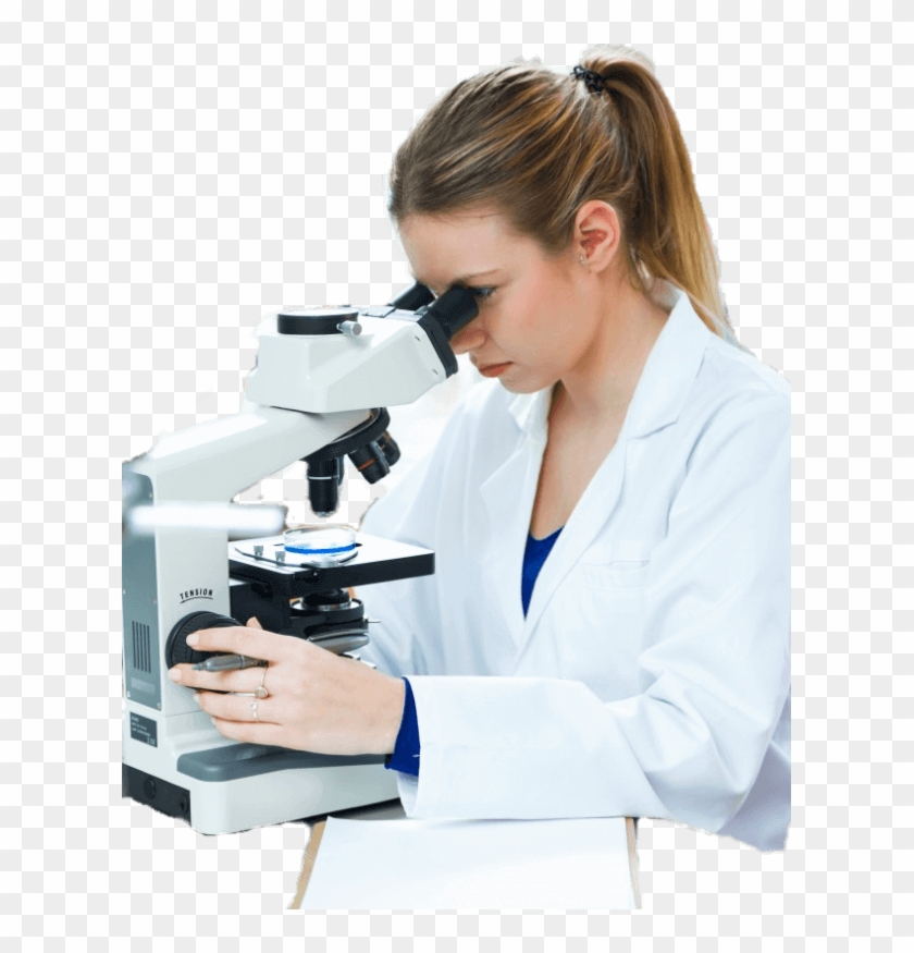 Banner-main - Laboratory Clipart