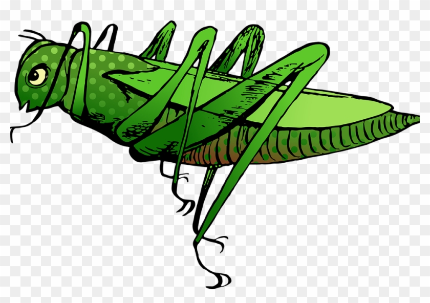 Toxic Antipredator Defense - Locust Cartpom Clipart