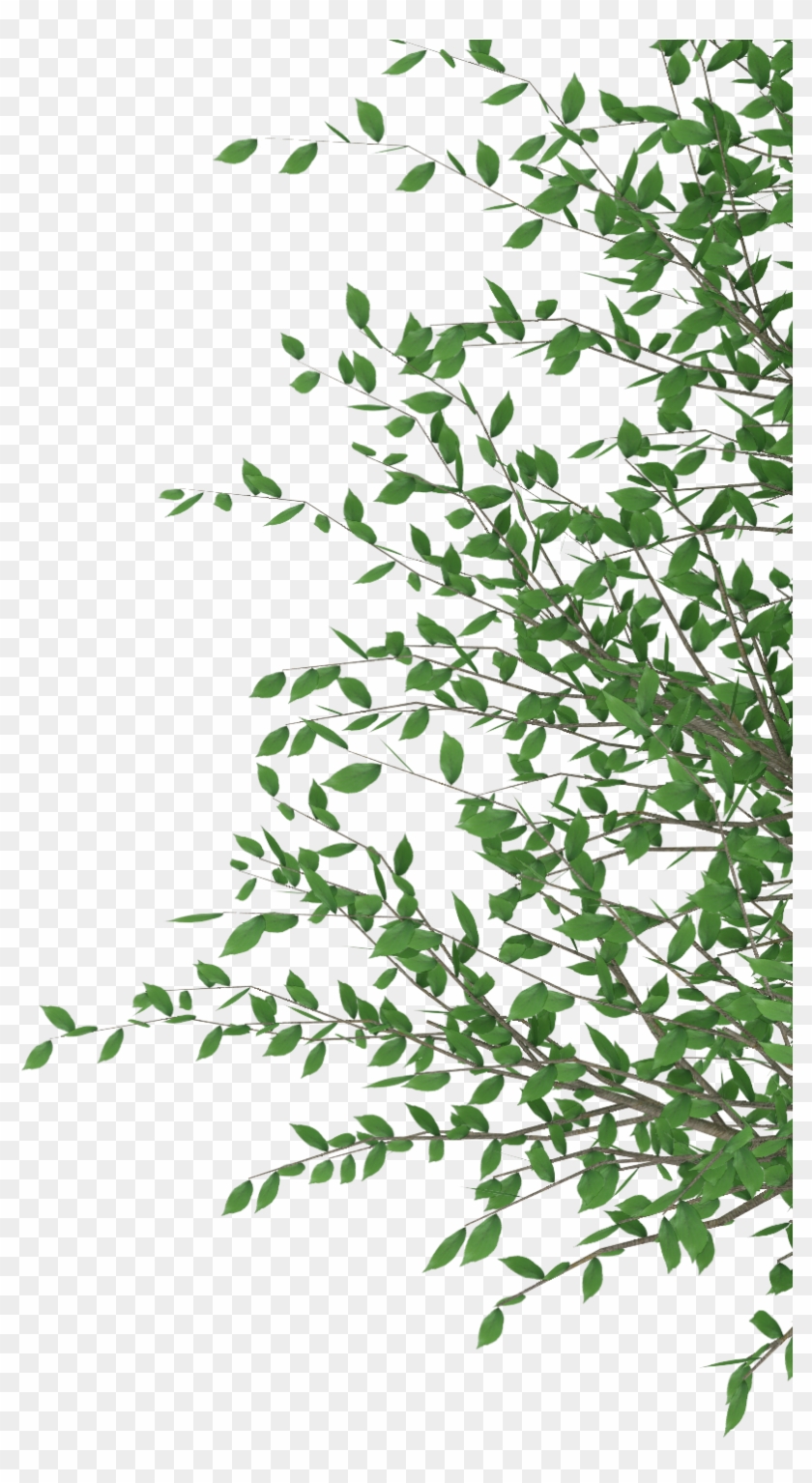 Cut Out Photoshop Clipart