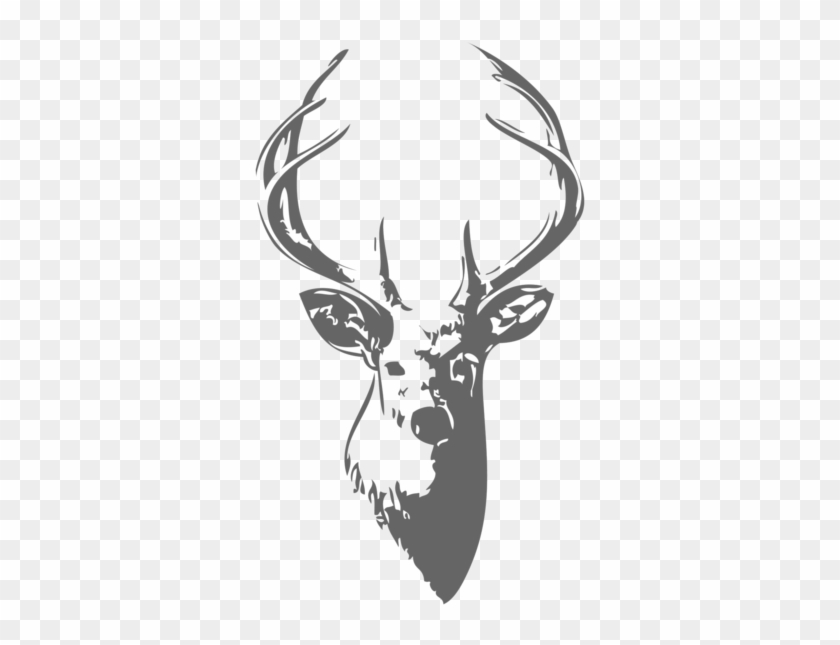 Drawing Elk Head - Munster Rugby Tattoo Clipart