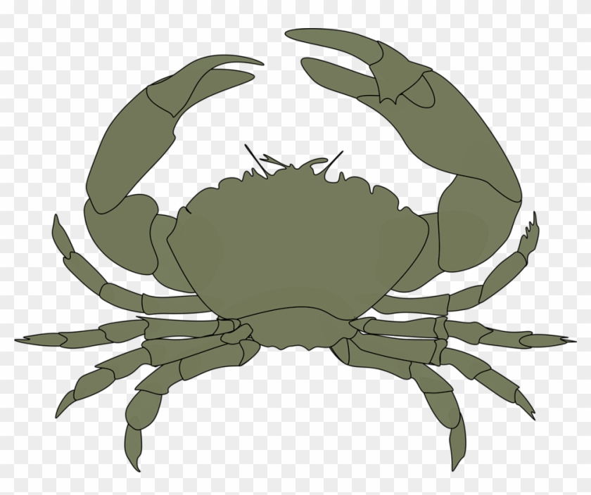 Collection Of Red Crab Cliparts Buy Any Ⓒ - Green Crab Clipart - Png Download #3296580