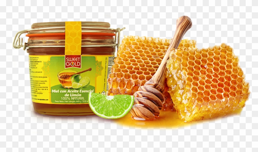 Miel De Abeja Abangares Clipart
