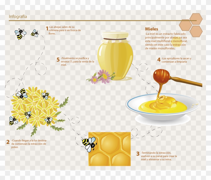 De Dónde Viene La Miel - Honey Vector Clipart #3298601