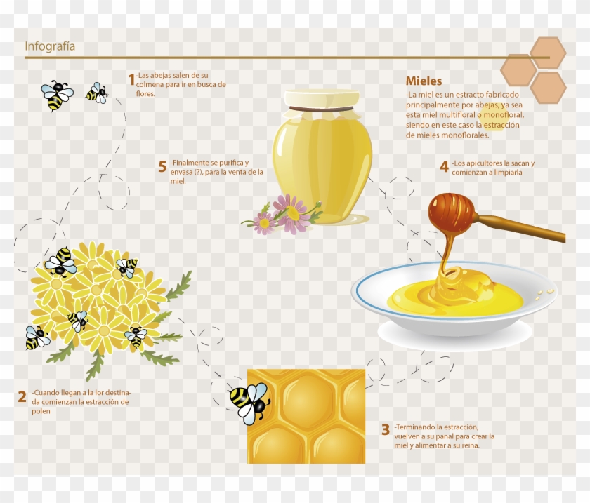 De Dónde Viene La Miel - Honey Vector Clipart