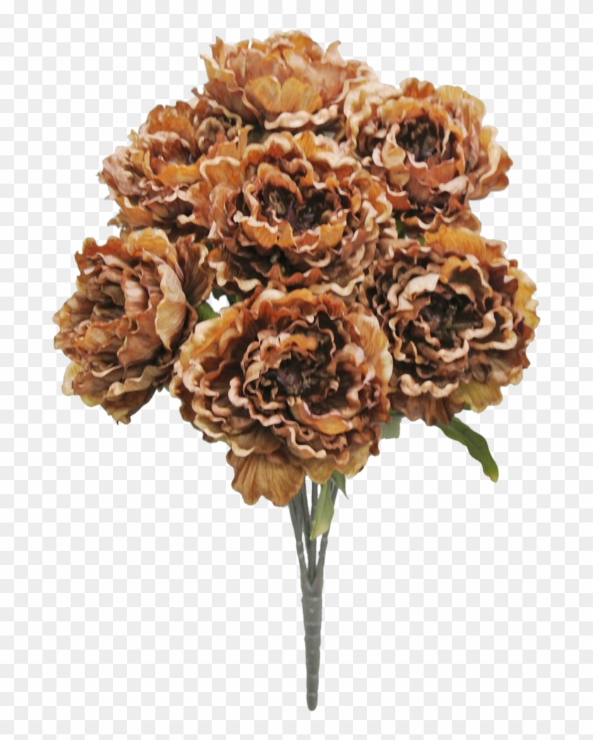 53843-brn - Transparent Brown Flowers Clipart #3299179
